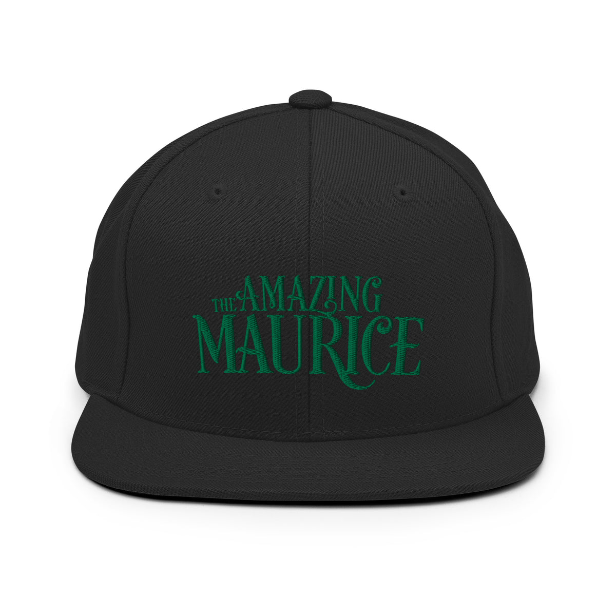 Title Logo Snapback Hat