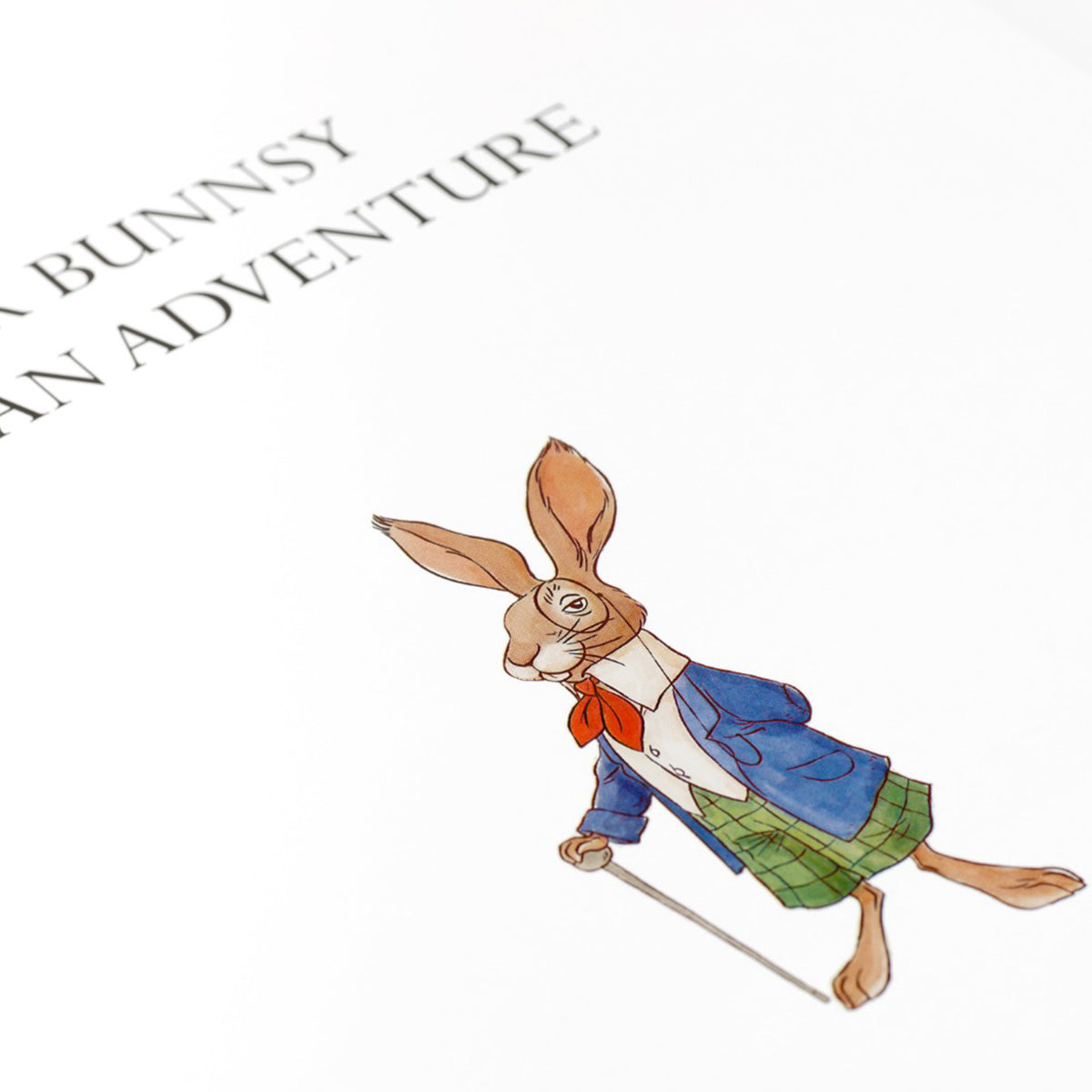 Mr Bunnsy Has An Adventure Book